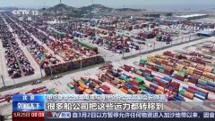 外贸一线察看丨美线出货高峰或提前 货运订舱就